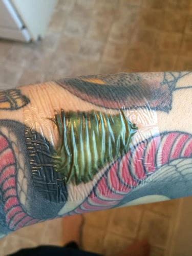 second skin tattoo leaking|2nd skin came off very early : r/tattooadvice